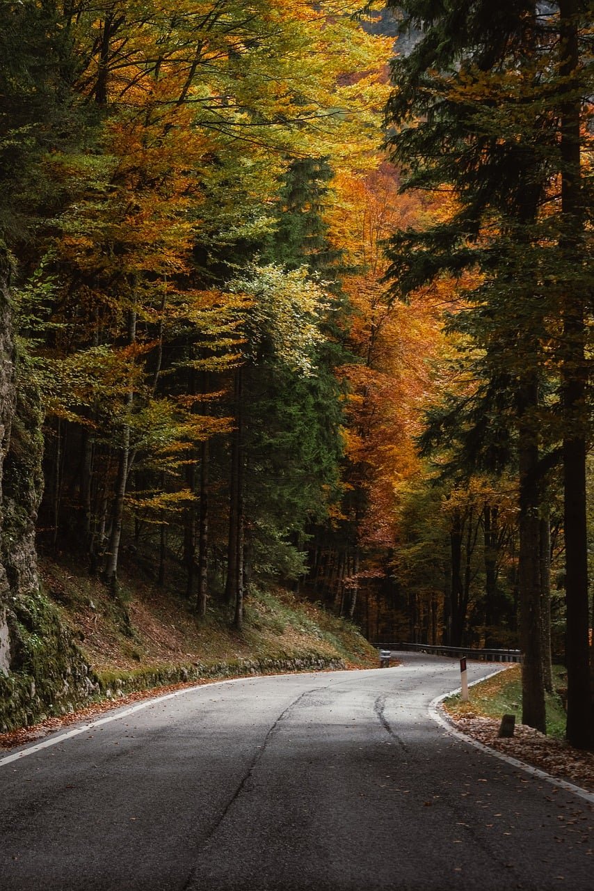Home curved road, autumn forest, ipad wallpaper, iphone wallpaper, fall adventure, mobile wallpaper 4k, nature escape, lock screen wallpaper, picturesque scenery, golden trees, phone wallpaper, samsung wallpaper, travel goals, tranquil journey, leaf season, explore outdoors, peaceful trail, road less traveled, wallpaper, background images, beautiful wallpaper, mobile wallpaper, background, 4k, desktop wallpaper, desktop background